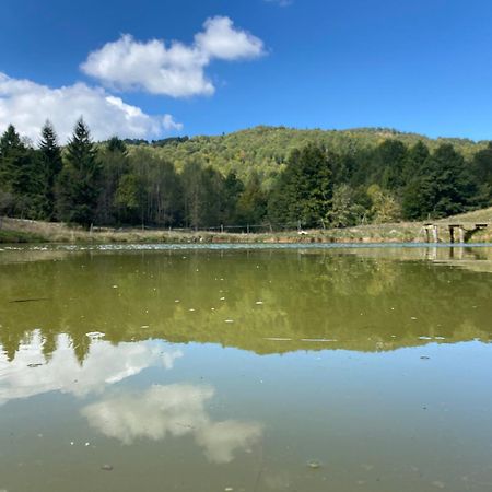 Il Riccio E Il Gufo Hotel Cepletischis Luaran gambar